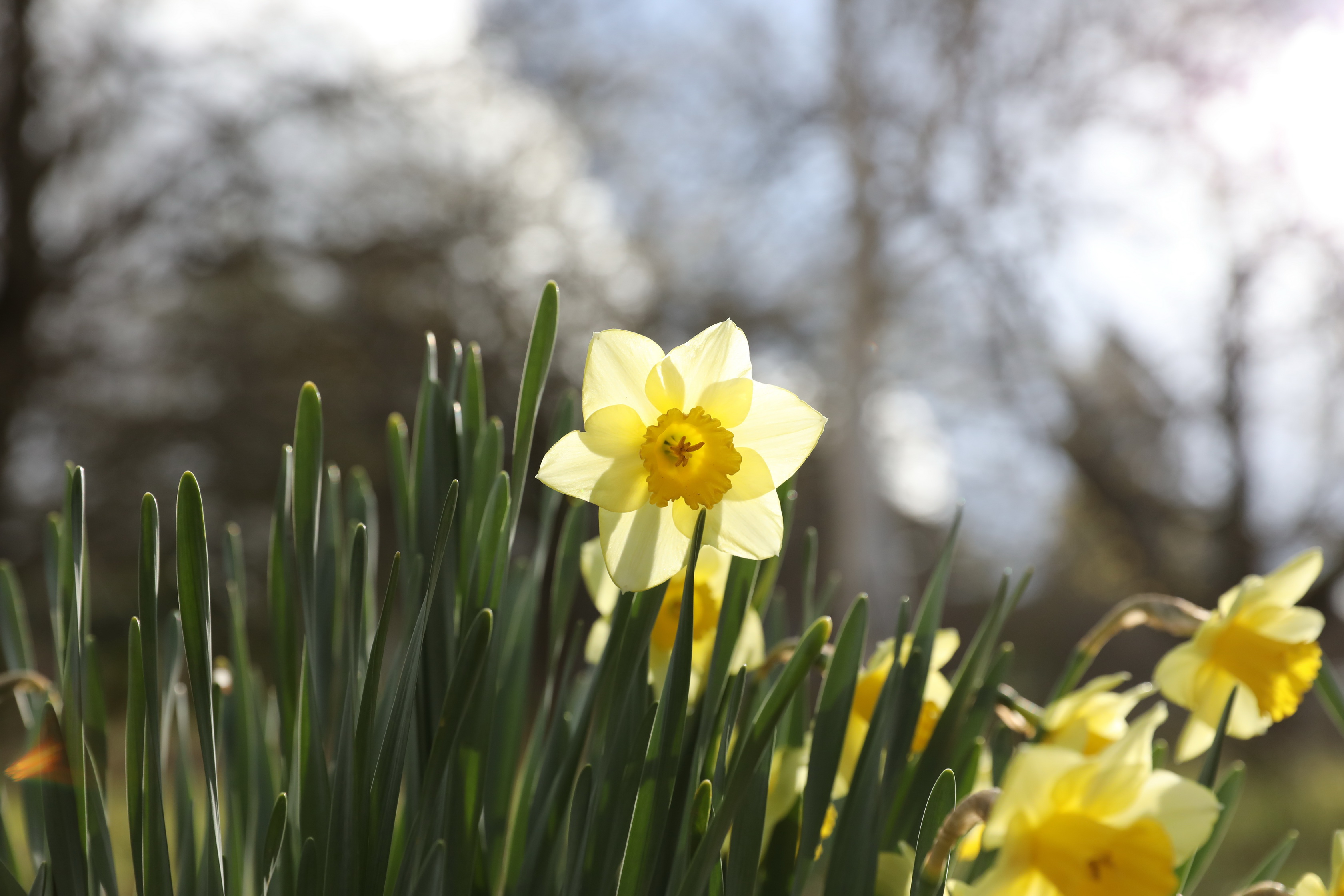 2019 09 21 15 41 33 Canon EOS 5D Mark IV 0013